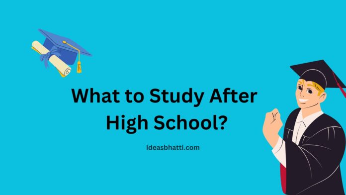 What to Study After High School